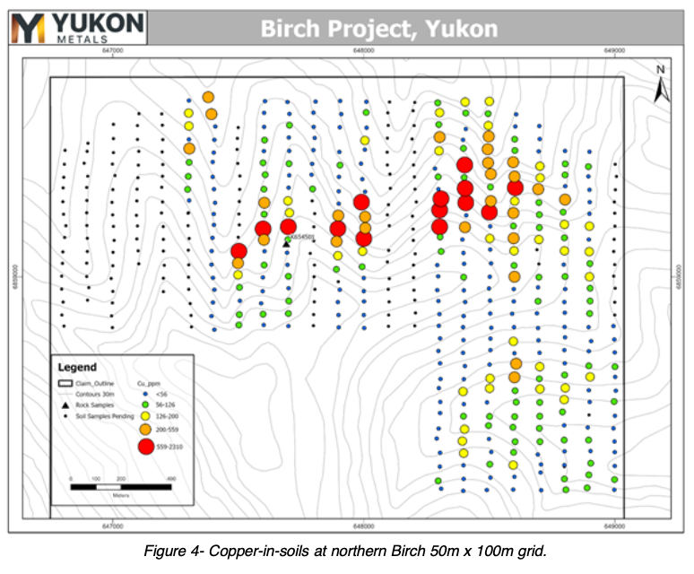 Copper-in-soils at northern Birch 50m x 100m grid.