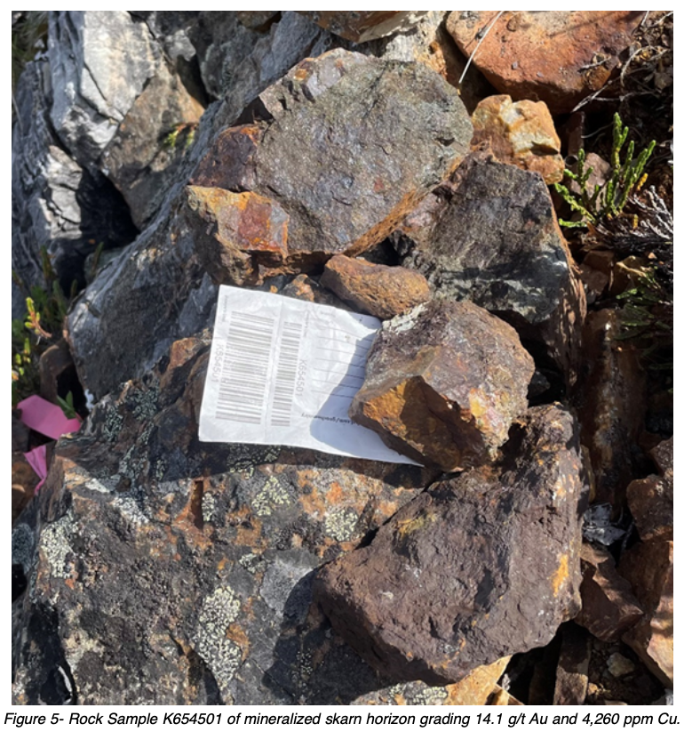 Rock Sample K654501 of mineralized skarn horizon grading 14.1 g/t Au and 4,260 ppm Cu.