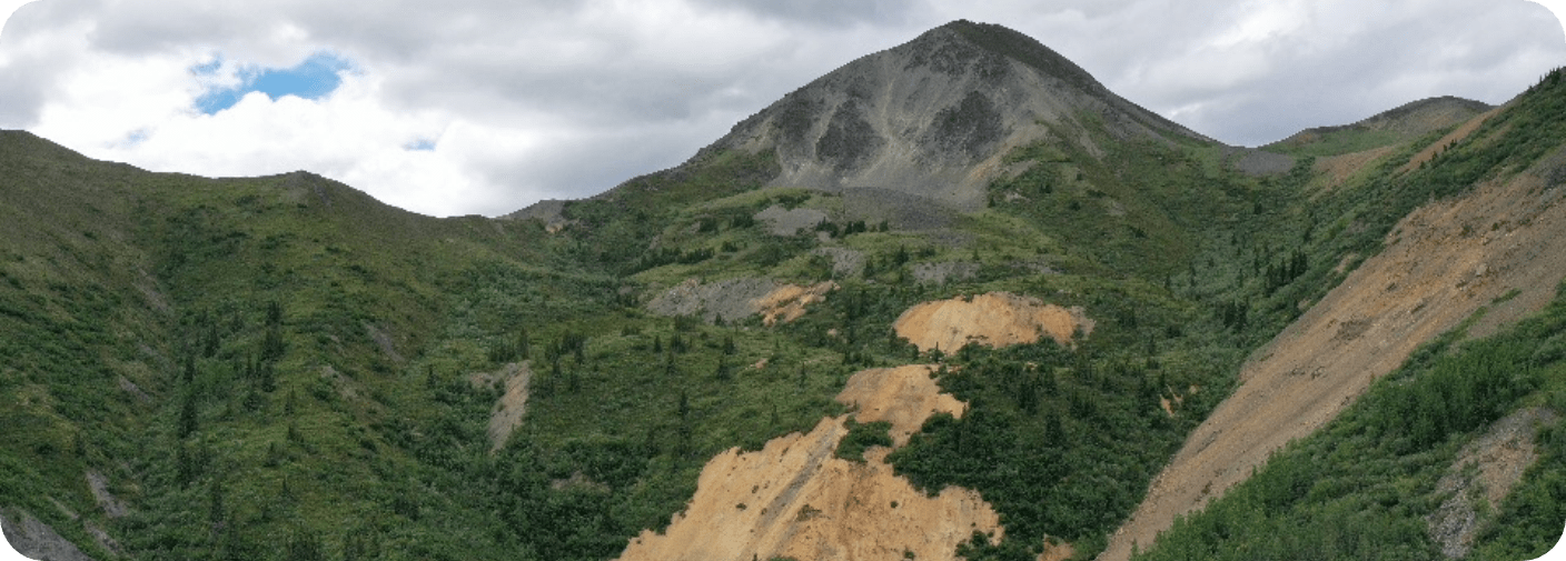 Birch project landscape