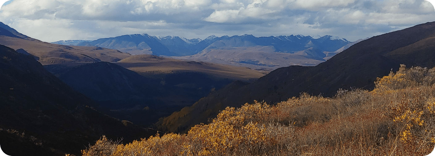 Fairway project landscape