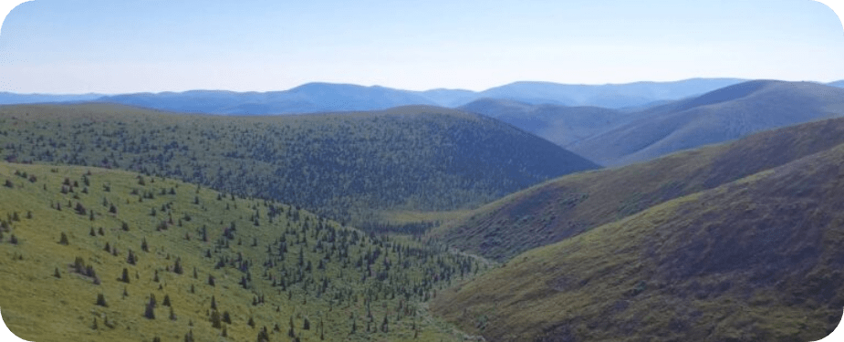 Stock landscape
