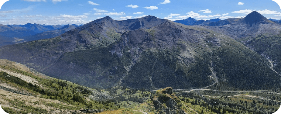 News landscape