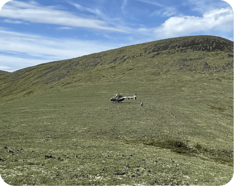 BIRCH project image